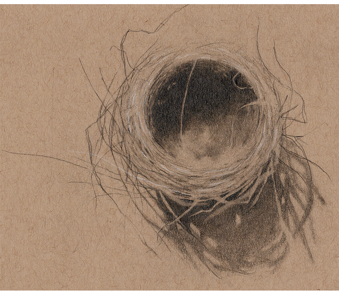 “Nest” - Kristen Etmund